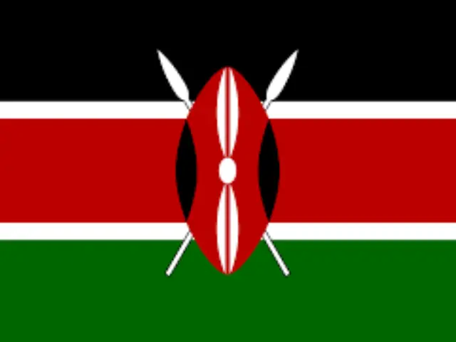Kenyan Investors