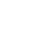 check-icon