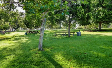 Poplar Recreation Ground