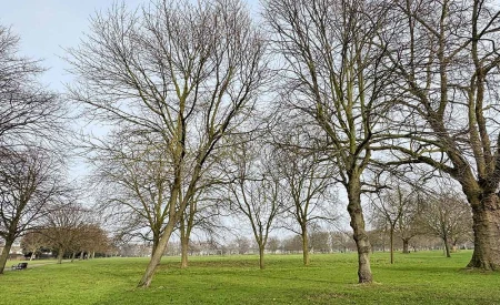 West Ham Park