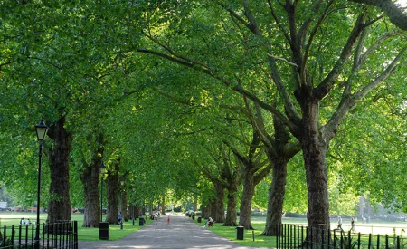 Holloway Park	
