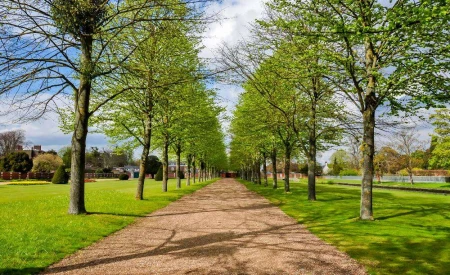 Priory Park